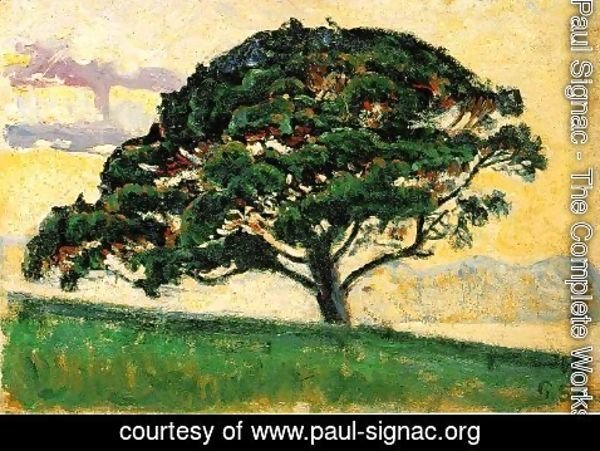 Paul Signac - The Large Pine, Saint-Tropez