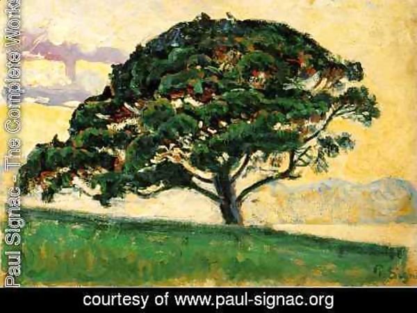 Paul Signac - The Pine, Saint Tropez