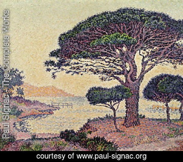 Paul Signac - Umbrella Pines at Caroubiers, 1898
